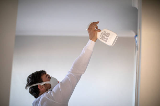Crawl Space Mold Removal in Westwego, LA