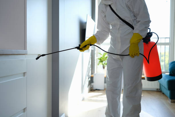 Best Residential Mold Removal  in Westwego, LA